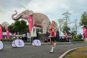 BIB: 
                            <button type="button" onclick="openModal(26528747)" class="btn btn-primary btn-sm float-right btn-popup" data-toggle="modal" data-target=".modal-high-quality">
                        <i class="fas fa-shopping-cart"></i> Add to Cart
                    </button>
                                            <button type="button" onclick="isThisMe(26528747, true)" class="btn btn-success btn-sm float-right btn-popup btn-isme hidden" data-toggle="tooltip" data-placement="bottom" title="นี่คือรูปของคุณใช่ไหม คลิกที่นี่เพื่อเอาเข้าอัลบั้ม">
                        <i class="fas fa-plus"></i> Add to album
                    </button>
                    <button type="button" onclick="isThisMe(26528747, false)" class="btn btn-warning btn-sm float-right btn-popup btn-isnotme hidden">
                        <i class="fas fa-ban"></i> Remove from album
                    </button>